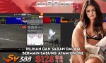 Pilihan dan Saran dalam Bermain Sabung Ayam Online